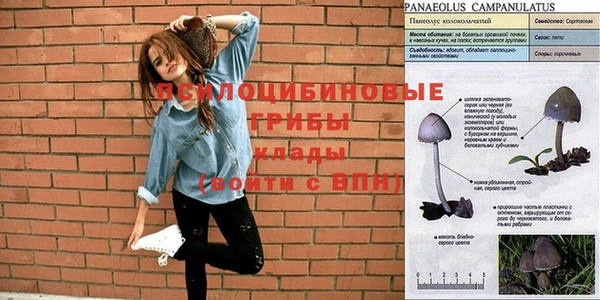 мет Бронницы