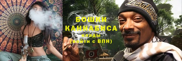 хмурый Бородино